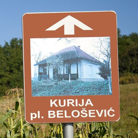 Kurija Inn Hrašćina Zewnętrze zdjęcie