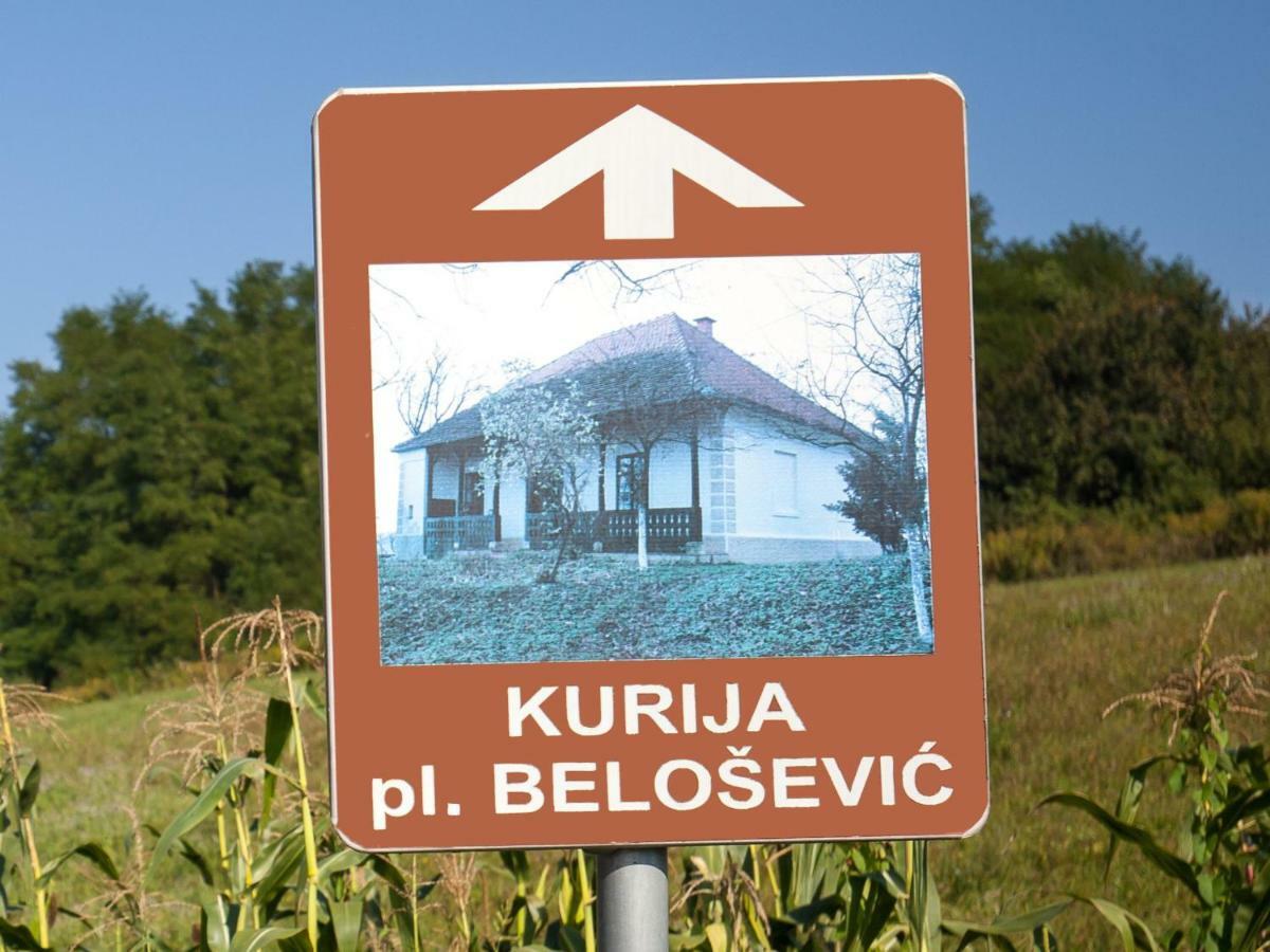 Kurija Inn Hrašćina Zewnętrze zdjęcie